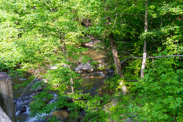 Fototapeta premium River view from a bridge