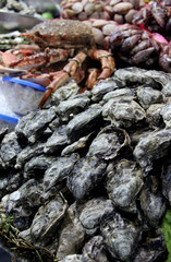 Oysters on the open market