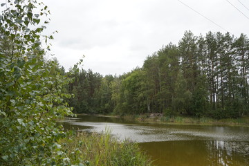 Beautiful forest lake. The lake among the forest and pines.