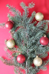 Green fir branch with red and gold balls on a red background for a Christmas card.