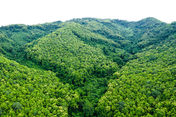 landscape aerial  view  mountain green natural forest in the rain season on white background isolate