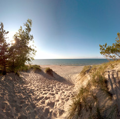 Slowinski National Park on the Baltic Sea coast, near Leba, Poland. Beautiful sandy beach, dune vegetation and coastal landscape on the walking trail between Leba and Moving Dunes.