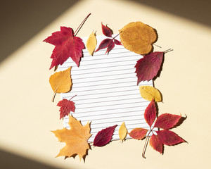 Clean paper sheet in a lined surrounded by autumn leaves. Bright sunlight and shadows at edges of frame. Beige background, top view, copy space