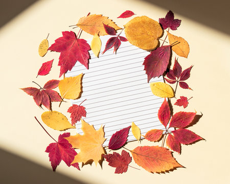 Clean paper sheet in a lined surrounded by autumn leaves. Bright sunlight and shadows at edges of frame. Beige background, top view, copy space