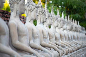 Obraz premium Sitting buddha statues at Wat Yai Chai Mongkhon temple in Ayutthaya, Thailand