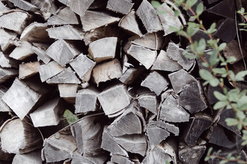 stack of firewood