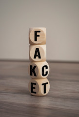Würfel mit Fake und Fact