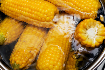Yellow sweet corn in boiling water. Healthy food, tasty snack, traditional street food.