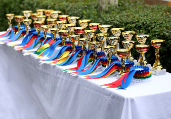 Beautiful colorful awards on the table to the winners of the races