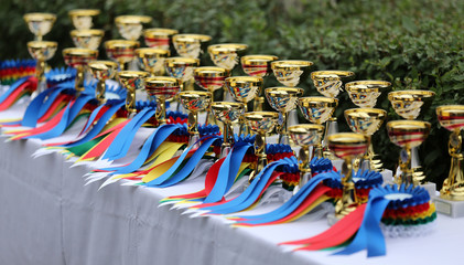 Awards waiting to be assigned after equitation event