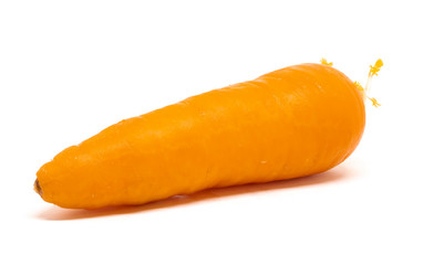 Carrots are separated on a white background.