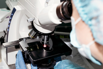 Microscope in laboratory, analyzes. Scientist woman looking through microscope in laboratory.
