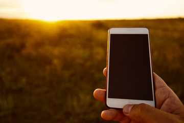 mobile phone in hand