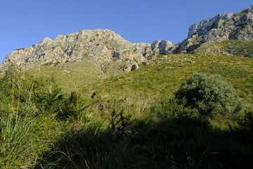 Landschaft und Steilküste bei Betlem auf der Halbinsel Llevant im Naturpark Llevant, Mallorca, Balearen, Spanien