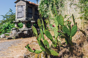 Entrambosríos
