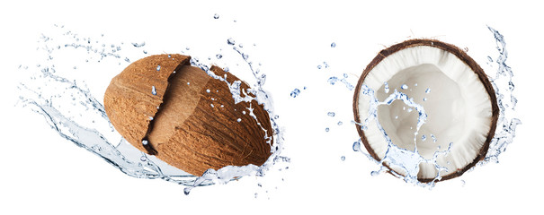 Creative Collection set with Flying in air fresh ripe whole and cracked coconut with milk splashes