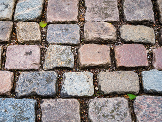 Close-up of Cobblestone pavement.