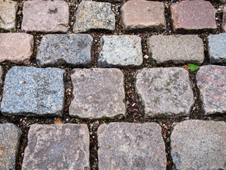 Close-up of Cobblestone pavement.