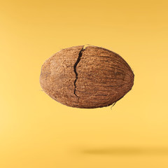 Fresh ripe coconut isolated on yellow background