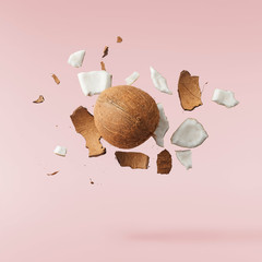 Fresh ripe coconut isolated on pink background - obrazy, fototapety, plakaty