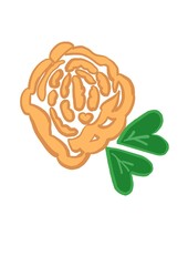 human brain on white background