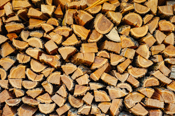 wood material