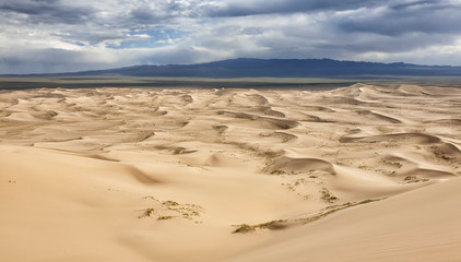 Fototapeta na wymiar Khongor Sand Dune - Gobi Desert, Mongolia