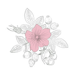 Spring. Summer. Garden flowers. Bouquet on a white background. Vintage style. Vector image.