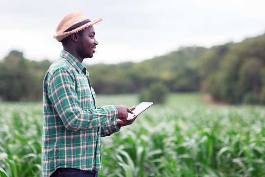 African Farmer stand in the green farm with holding tablet pc