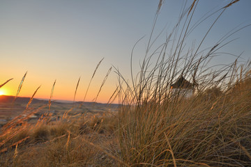 Obraz premium old Spanish wind mills Don Quijote