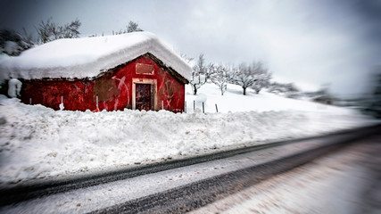 La magia dell'inverno © Salvador