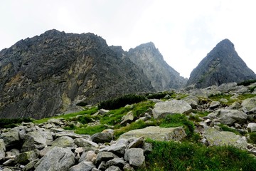 A beautiful landscape with rocky mountain  in High Tatry, Slovakia. The High Tatras Mountains in summer