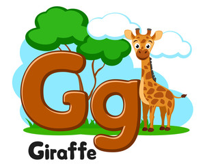 Alphabet animal big giraffe, letter Gg on a white. Preschool education.