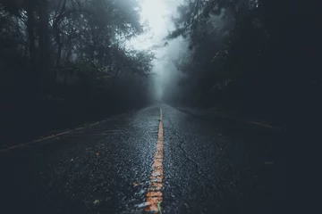 Fototapeten Der Weg in den Wald in der Regenzeit © artrachen