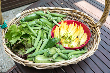 Basket with seasonal vegetables