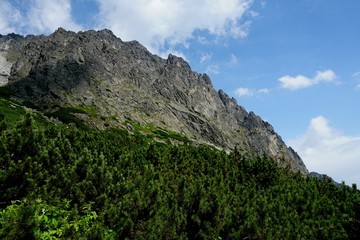Beautiful High Tatras mountains landscape in  Slovakia near city Old Smokovec. sunny summer day