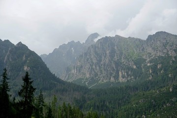 Obraz premium Beautiful High Tatras mountains landscape in Slovakia near city Old Smokovec. sunny summer day