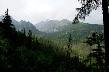 Beautiful High Tatras mountains landscape in  Slovakia near city Old Smokovec. sunny summer day