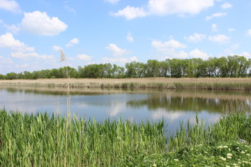 Country background in landscape with lake and blue sky