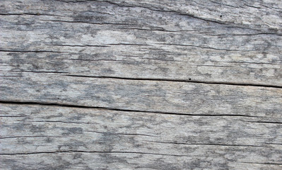 Wood texture pattern on background