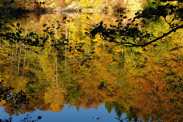 Der Steigerwald bei Ebrach im Naturpark Steigerwald, Landkreis Bamberg, Unterfranken, Franken,  Deutschland