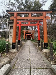 japanese tori gate on spring
