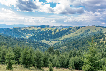 Cloudscape over pine forest in the Carpathian mountains in Transylvania, Romania.