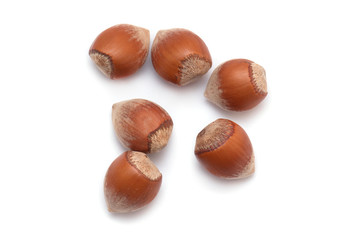 Hazelnut, Hazel, Nuts isolated on white Background, top View 
