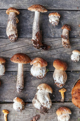 Autumn fall composition. Variety raw edible mushrooms Penny Bun Boletus leccinum on rustic table. Ceps over wooden dark background. Cooking delicious organic mushroom gourmet food. Flat lay top view