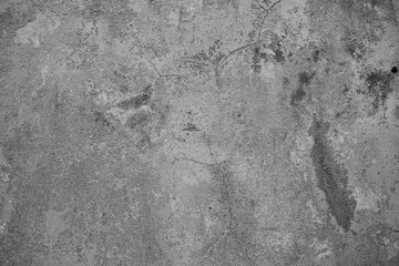 Beautiful vintage background. Abstract grunge decorative stucco wall texture. Wide rough background with copy space for text.