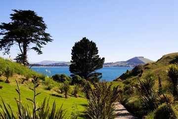 Fototapeta na wymiar View over green grass and trees on path to the bay of ocean - New Zealand near Christchurch, South island, East coast