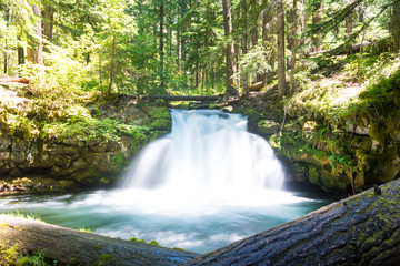 Obraz premium Whithorse Falls