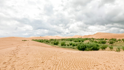 Bayan Gobi Sand Dunes, Mongolia