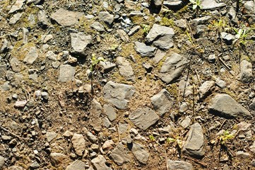 Stone desert at golden hour of sunset.